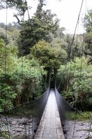 Hängebrücke zum Monro Beach