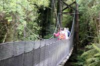 Hängebrücke zum Monro Beach