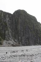 Wanderung zum Fox Gletscher