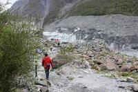 Wanderung zum Fox Gletscher