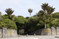 Pancake Rocks, Punakaiki