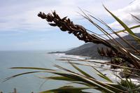 Irimahuwhero Lookout, Westküste