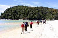 Wanderung im Abel Tasman Nationalpark