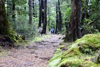 Nelson Lakes Nationalpark