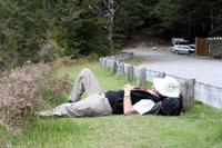 Hampi bei der Arbeit 