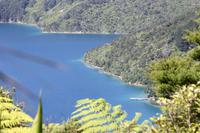 Wanderung Queen Charlotte Track