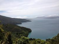 Wanderung Queen Charlotte Track