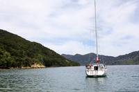 Wanderung Queen Charlotte Track