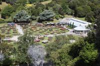 Rosengarten Wellington