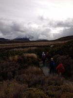 Wanderung im Tongariro Nationalpark