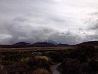 Wanderung im Tongariro Nationalpark