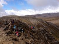 Picknick im Tongariro Nationalpark