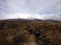 Wanderung im Tongariro Nationalpark