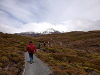 Wanderung im Tongariro Nationalpark