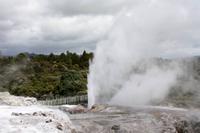 Te Puia, Geysir