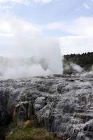 Te Puia, Geysir