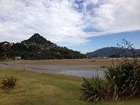 Paku Hill, Coromandel