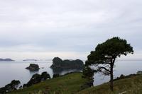 Coromandel