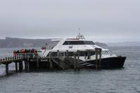 Fähre nach Tiritiri Matangi