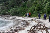 Wanderung auf Tiritiri Matangi
