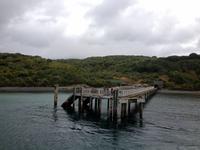 Tiritiri Matangi