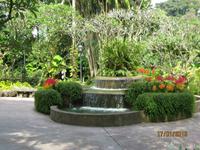 IMG_2266 Zu Besuch im Botanischen Garten von Singapur