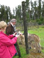 IMG_2317 Mittagessen einmal anders