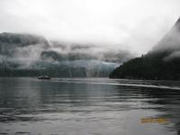 IMG_2418 Schifffahrt entlang des Milford Sound