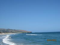 IMG_2427 Der Strand von Dunedin