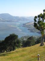 IMG_2438 Entlang der Küste von Dunedin