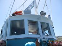 IMG_2455 Bootsfahrt zur Vogelbeobachtung