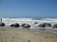 IMG_2458 Zu Besuch bei den Moreaki Boulders