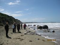 IMG_2461 Zu Besuch bei den Moreaki Boulders