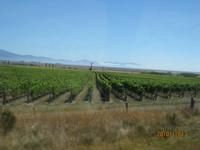 IMG_2513 Mit dem TranzCoastel unterwegs