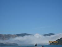 IMG_2522 Entlang der Marlborough Sounds