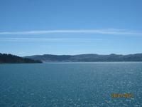 IMG_2526 Wellington in weiter Ferne