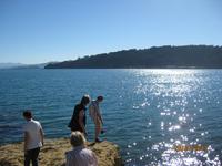 IMG_2534 Entlang der Küste von Wellington