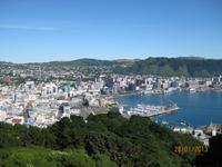 IMG_2542 Auf dem Mount Victoria von Wellington