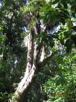 IMG_2568 Auf Wanderung im Tongariro Nationalpark