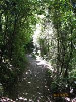 IMG_2601 Der Flora und Fauna auf der Spur