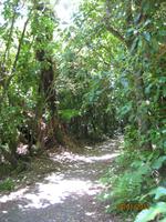 IMG_2602 Der Flora und Fauna auf der Spur