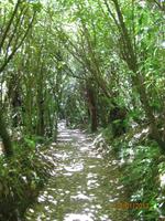 IMG_2603 Der Flora und Fauna auf der Spur