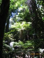 IMG_2605 Der Flora und Fauna auf der Spur