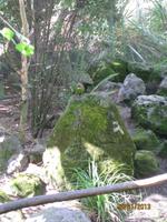 IMG_2633 Zu Besuch in der Parkanlage Rainbow Springs