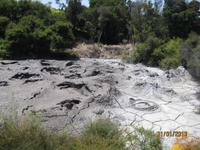 IMG_2645 Bei den heißen Qellen von Te Puia