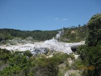 IMG_2646 Bei den heißen Qellen von Te Puia