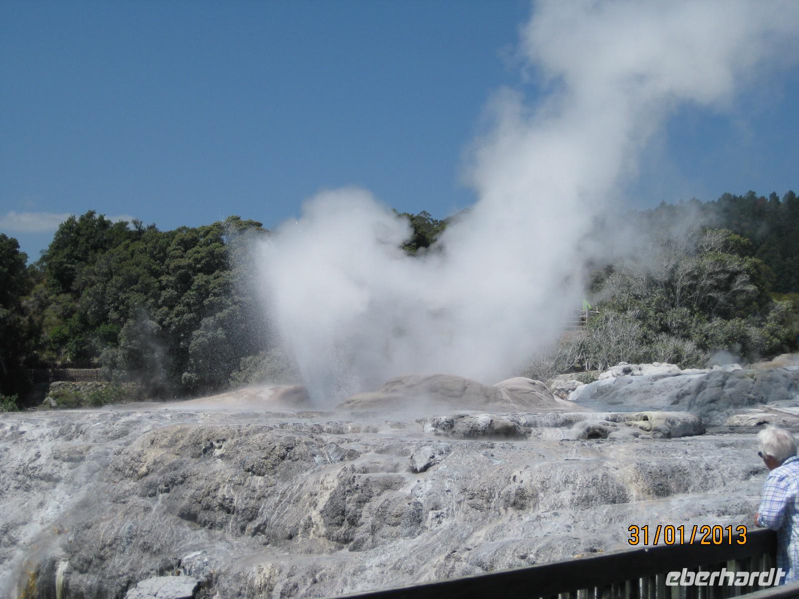IMG_2648 Bei den heißen Qellen von Te Puia