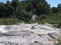 IMG_2651 Bei den heißen Qellen von Te Puia