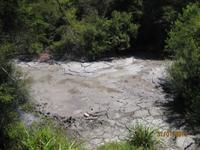 IMG_2652 Bei den heißen Qellen von Te Puia