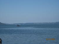 IMG_2659 Auf Landeanflug